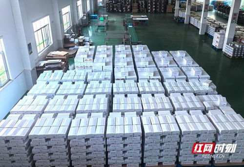 全力打造家門口的 出海口 湖南津市港國際集裝箱碼頭建成運營