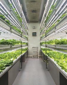 海外農(nóng)產(chǎn)品來(lái)華 圈粉