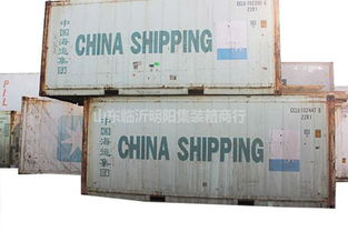 食品集裝箱冷庫有哪些 集裝箱冷庫有哪些 山東臨沂明陽集裝箱